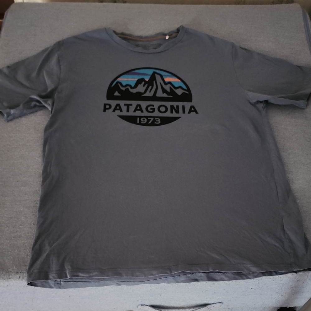 Patagonia Blue-Gray Men's Tee
